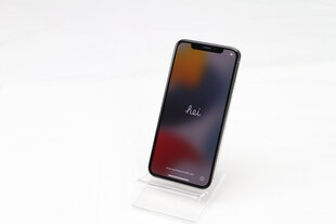 iPhone X 64GB Silver (atnaujintas, būklė A) kaina ir informacija | Mobilieji telefonai | pigu.lt