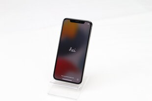 iPhone X 64GB Silver (atnaujintas, būklė A) kaina ir informacija | Mobilieji telefonai | pigu.lt