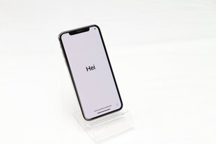 iPhone X 64GB Silver (atnaujintas, būklė A) kaina ir informacija | Mobilieji telefonai | pigu.lt