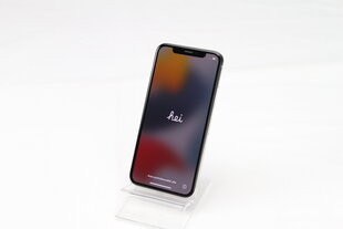 iPhone X 64GB Silver (atnaujintas, būklė A) kaina ir informacija | Mobilieji telefonai | pigu.lt