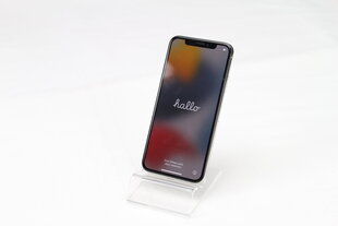 iPhone X 64GB Silver (atnaujintas, būklė A) kaina ir informacija | Mobilieji telefonai | pigu.lt