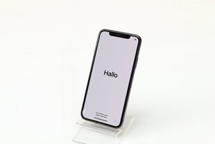 iPhone X 64GB Space Gray (atnaujintas, būklė A) kaina ir informacija | Mobilieji telefonai | pigu.lt