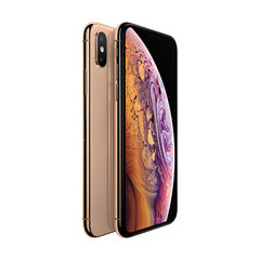 iPhone XS 256GB Gold (подержанный, состояние C) цена и информация | Мобильные телефоны | pigu.lt