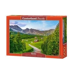 Dėlionė Castorland Trail in Tatras Poland 500 det kaina ir informacija | Dėlionės (puzzle) | pigu.lt