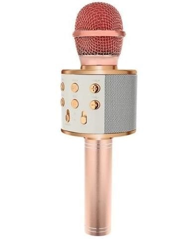 Karaokė mikrofonas - kolonėlė su balso keitimo efektais Sidabrinis цена и информация | Mikrofonai | pigu.lt