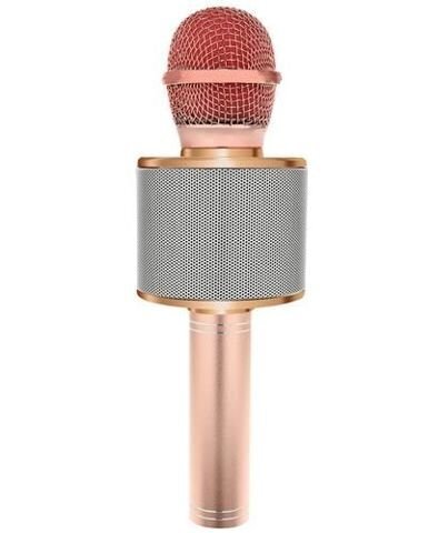 Karaokė mikrofonas - kolonėlė su balso keitimo efektais Sidabrinis kaina ir informacija | Mikrofonai | pigu.lt