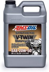 Alyva AMSOIL 20W-50 Synthetic Motorcycle Oil 3.784l (MCV1G) kaina ir informacija | Variklinės alyvos | pigu.lt