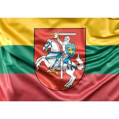 Магнитная наклейка Литовский флаг цена и информация | Интерьерные наклейки | pigu.lt