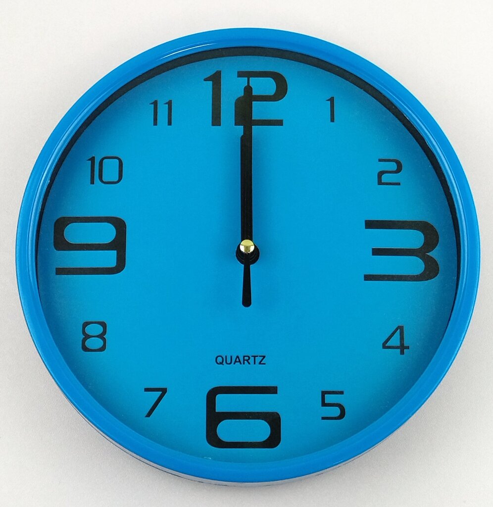 Sieninis laikrodis d18cm kaina ir informacija | Laikrodžiai | pigu.lt