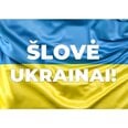 Магнитная наклейка Флаг Украины