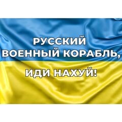 Магнитная наклейка на машину Флаг Украины цена и информация | Интерьерные наклейки | pigu.lt