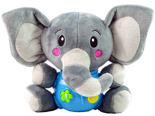 Спящий слон, который играет мелодии цена и информация | Развивающие игрушки | pigu.lt