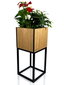 Vazonas augalams - Loft Fiorino ąžuolinis 22x22x50cm kaina ir informacija | Gėlių stovai, vazonų laikikliai | pigu.lt