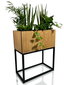 Vazonas augalams - Loft Fiorino ąžuolinis 42x22x50cm цена и информация | Gėlių stovai, vazonų laikikliai | pigu.lt