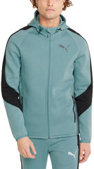 Puma Джемпер Evostripe Full-Zip Mint 847401 50 847401 50/M цена и информация | Мужские толстовки | pigu.lt