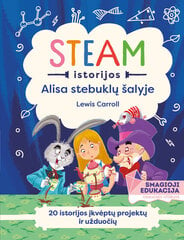 Steam istorijos: Alisa stebuklų šalyje цена и информация | Энциклопедии, справочники | pigu.lt