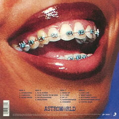 Travis Scott - Astroworld, 2LP, vinilo plokštės, 12" kaina ir informacija | Vinilinės plokštelės, CD, DVD | pigu.lt