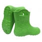 Guminiai batai vaikams Frog Green цена и информация | Guminiai batai vaikams | pigu.lt