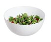 Luminarc salotinė Pampille, 24 cm цена и информация | Indai, lėkštės, pietų servizai | pigu.lt