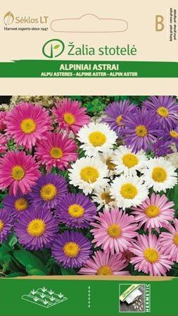 Alpiniai astrai, mišinys kaina ir informacija | Gėlių sėklos | pigu.lt
