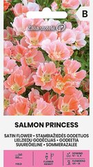 Stambiažiedės godetijos Žalia stotelė Salmon Princess цена и информация | Семена цветов | pigu.lt