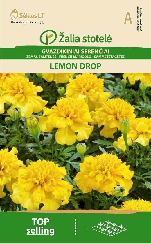 Gvazdikiniai serenčiai Lemon Drop цена и информация | Gėlių sėklos | pigu.lt