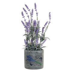 Dekoratyvinis augalas DKD Home Decor Levandos, 13 x 13 x 44 cm kaina ir informacija | Dirbtinės gėlės | pigu.lt