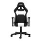 Profesionali biuro ir kompiuterinių žaidimų kėdė, juoda/balta kaina ir informacija | Biuro kėdės | pigu.lt