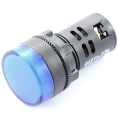 LED indikatorius 12V AC/DC, 28mm kaina ir informacija | Mechaniniai įrankiai | pigu.lt