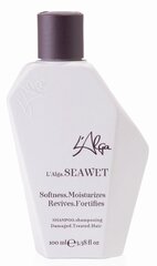 Atstatomasis šampūnas plaukams L'Alga Seawet Shampoo, 100 ml kaina ir informacija | Šampūnai | pigu.lt