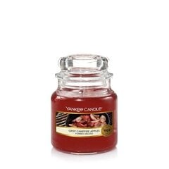 Ароматическая свеча Yankee Candle Crisp Campfire Apples Candle - Scented candle, 104.0 г цена и информация | Подсвечники, свечи | pigu.lt