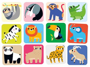 Duuuże память | Животное цена и информация | Развивающие игрушки | pigu.lt