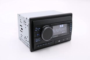 Blaupunkt Palma 200 DAB BT цена и информация | BLAUPUNKT Автотовары | pigu.lt