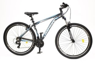 DVIRATIS 29" AIM 1.2 GREY/BLUE/8681933422002 ROCKSBIKE kaina ir informacija | Dviračiai | pigu.lt