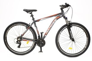 Kalnų dviratis 29" AIM 1.2 GREY/RED/8681933422019 ROCKSBIKE kaina ir informacija | Dviračiai | pigu.lt