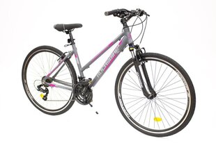 ВЕЛОСИПЕД 28" COMFORT 3.0/8681933422255 ROCKSBIKE цена и информация | Велосипеды | pigu.lt