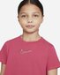 Nike marškinėliai цена и информация | Marškinėliai mergaitėms | pigu.lt