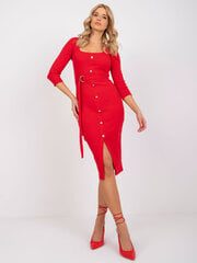 Suknelė moterims 62256, raudona kaina ir informacija | Suknelės | pigu.lt