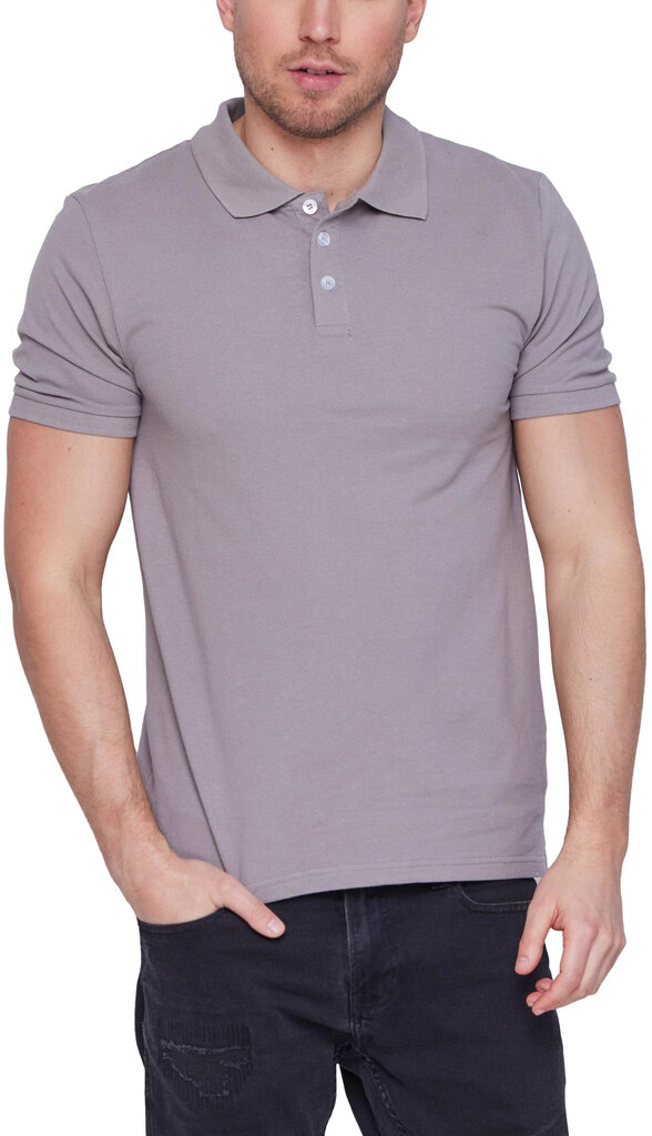 Marškinėliai vyrams Glo Story Polo MTS D0079 kaina ir informacija | Vyriški marškinėliai | pigu.lt