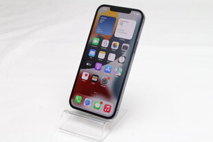 iPhone 12 Pro Max 128GB Pacific Blue (обновленный, состояние A) цена и информация | Мобильные телефоны | pigu.lt