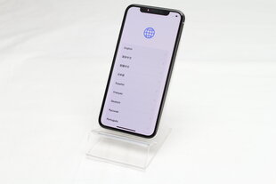 iPhone X 64GB Silver (atnaujintas, būklė A) kaina ir informacija | Mobilieji telefonai | pigu.lt