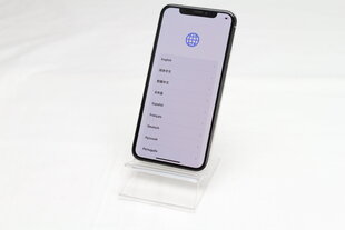 iPhone X 64GB Silver (atnaujintas, būklė A) kaina ir informacija | Mobilieji telefonai | pigu.lt