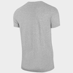 Marškinėliai vyrams 4F H4L22-TSM352 27M, pilki kaina ir informacija | Vyriški marškinėliai | pigu.lt