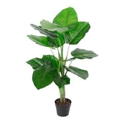 Žalias augalas Pothos, 90cm kaina ir informacija | Dirbtinės gėlės | pigu.lt
