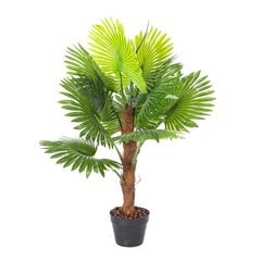 Зеленое растение FAN PALM, H100cm цена и информация | Искусственные цветы | pigu.lt