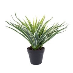 Žalias augalas Green Grass, 30cm kaina ir informacija | Dirbtinės gėlės | pigu.lt