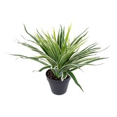 Žalias augalas Green Grass, 30cm kaina ir informacija | Dirbtinės gėlės | pigu.lt