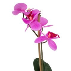 Dirbtinis augalas orchidėja, 46cm kaina ir informacija | Dirbtinės gėlės | pigu.lt