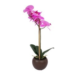 Фиолетовая орхидея с 1 веткой IN GARDEN, H46см, черный горшок цена и информация | Искусственные цветы | pigu.lt