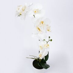 Белая орхидея с 2 ветками IN GARDEN, H51см, белый горшок цена и информация | Искусственные цветы | pigu.lt